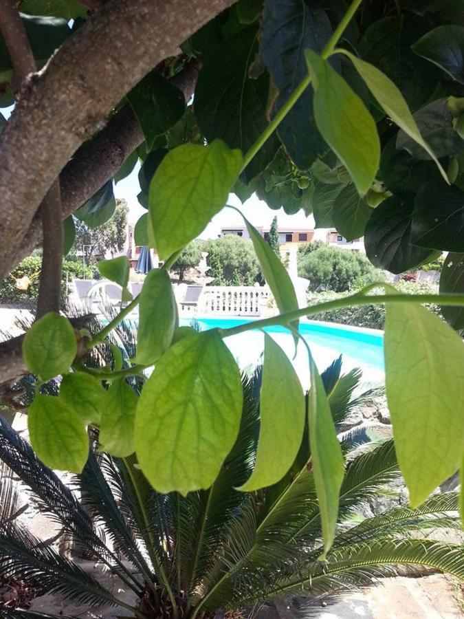 La Finestra Sul Mare Acomodação com café da manhã Budoni Exterior foto