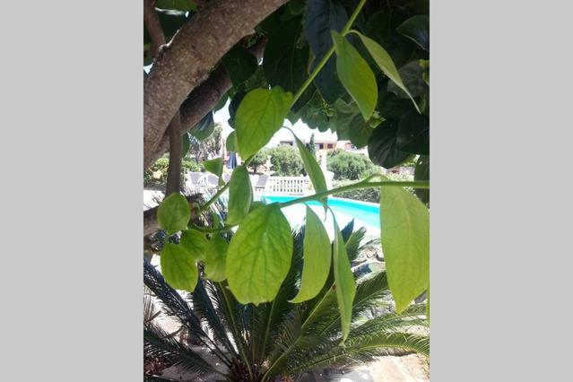 La Finestra Sul Mare Acomodação com café da manhã Budoni Exterior foto